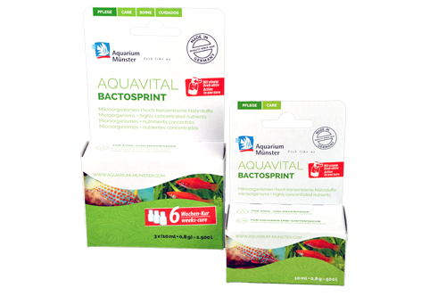 AQUAVITAL BACTOSPRINT für 100 - 500 l